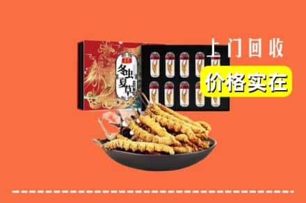 泰州泰兴市回收冬虫夏草