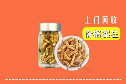 泰州泰兴市回收散虫草